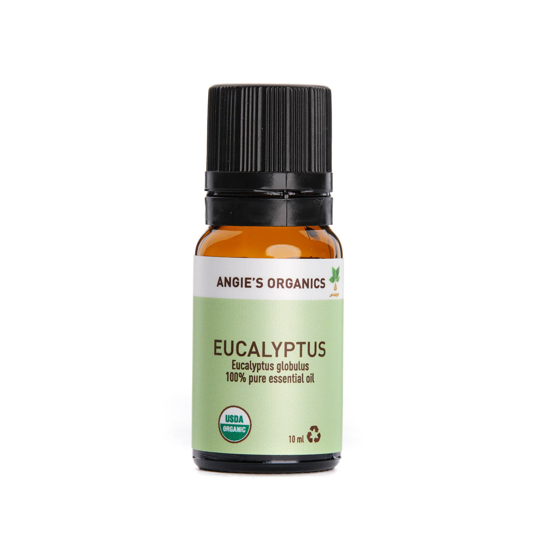 Eucalyptus- Globulus Essential Oil